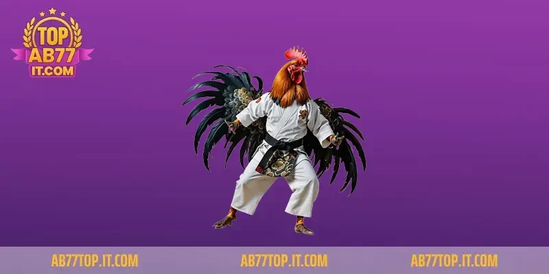 Vì sao Đá Gà Ab77 được cộng đồng yêu thích?